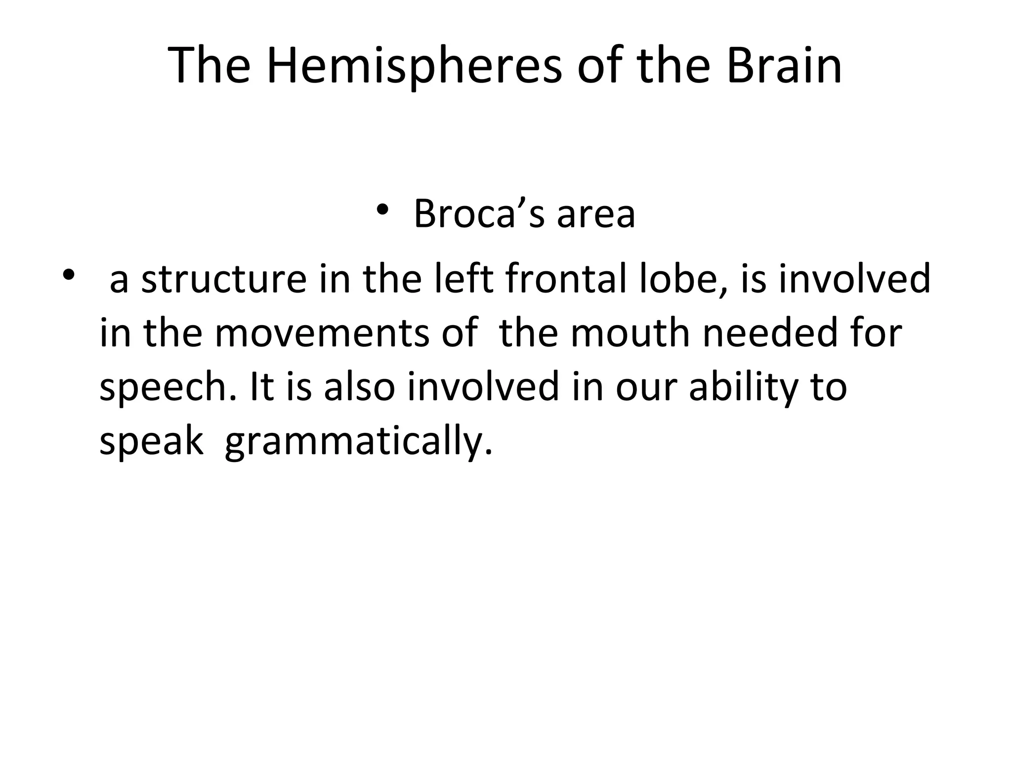 The Hemispheres of the Brain 
• Broca’s area 
• a structure in the left frontal lobe, is involved 
in the movements of the mouth needed for 
speech. It is also involved in our ability to 
speak grammatically. 
 