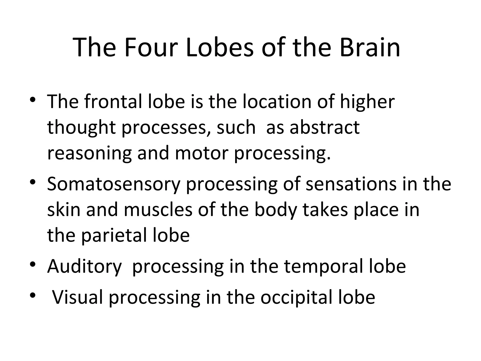 The Four Lobes of the Brain 
• The frontal lobe is the location of higher 
thought processes, such as abstract 
reasoning and motor processing. 
• Somatosensory processing of sensations in the 
skin and muscles of the body takes place in 
the parietal lobe 
• Auditory processing in the temporal lobe 
• Visual processing in the occipital lobe 
