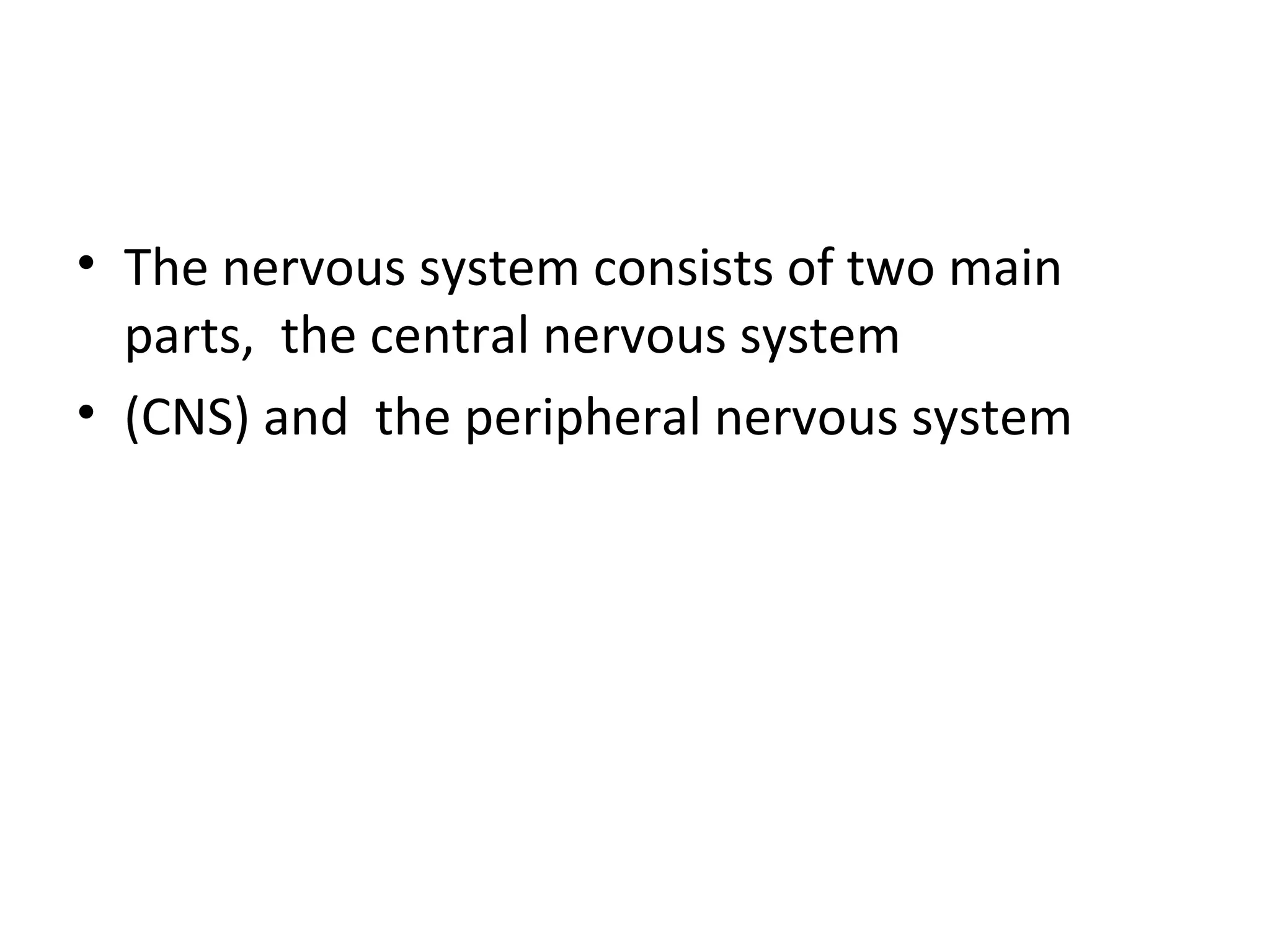 • The nervous system consists of two main 
parts, the central nervous system 
• (CNS) and the peripheral nervous system 
 