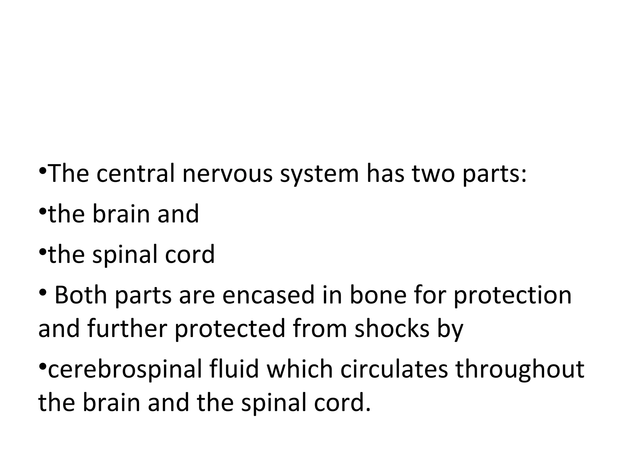 •The central nervous system has two parts: 
•the brain and 
•the spinal cord 
• Both parts are encased in bone for protection 
and further protected from shocks by 
•cerebrospinal fluid which circulates throughout 
the brain and the spinal cord. 
 