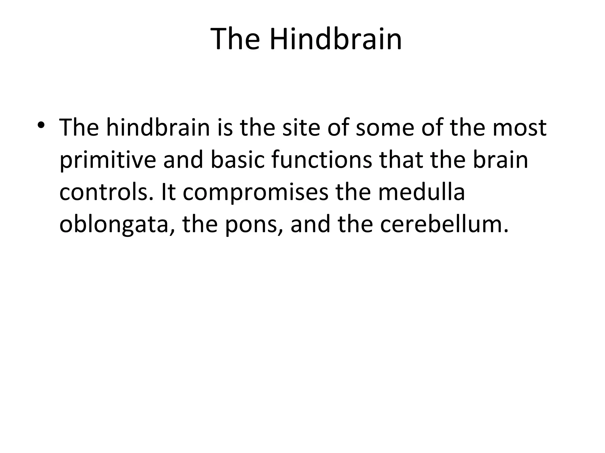 The Hindbrain 
• The hindbrain is the site of some of the most 
primitive and basic functions that the brain 
controls. It compromises the medulla 
oblongata, the pons, and the cerebellum. 
 