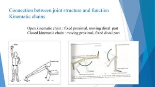 Biological basics of movements Passive movement system Types of joints.pdf