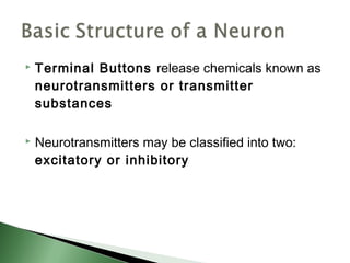    Terminal Buttons release chemicals known as
    neurotransmitters or transmitter
    substances

   Neurotransmitters may be classified into two:
    excitatory or inhibitory
 