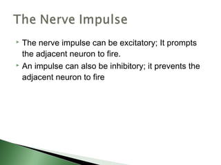  The nerve impulse can be excitatory; It prompts
  the adjacent neuron to fire.
 An impulse can also be inhibitory; it prevents the

  adjacent neuron to fire
 