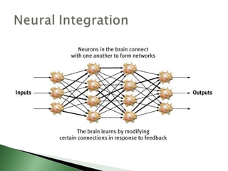 Biological basis of behavior (new)