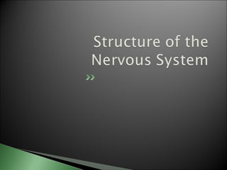 Biological basis of behavior (new)
