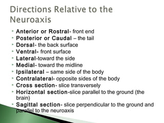    Anterior or Rostral- front end
   Posterior or Caudal – the tail
   Dorsal- the back surface
   Ventral- front surface
   Lateral-toward the side
   Medial- toward the midline
   Ipsilateral – same side of the body
   Contralateral- opposite sides of the body
   Cross section- slice transversely
   Horizontal section-slice parallel to the ground (the
    brain)
   Sagittal section- slice perpendicular to the ground and
    parallel to the neuroaxis
 