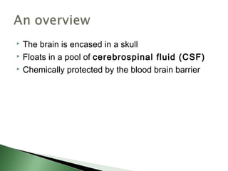  The brain is encased in a skull
 Floats in a pool of cerebrospinal fluid (CSF)

 Chemically protected by the blood brain barrier
 