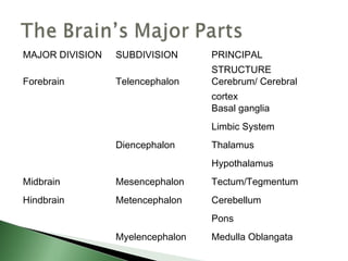 MAJOR DIVISION   SUBDIVISION      PRINCIPAL
                                  STRUCTURE
Forebrain        Telencephalon    Cerebrum/ Cerebral
                                  cortex
                                  Basal ganglia
                                  Limbic System
                 Diencephalon     Thalamus
                                  Hypothalamus
Midbrain         Mesencephalon    Tectum/Tegmentum
Hindbrain        Metencephalon    Cerebellum
                                  Pons
                 Myelencephalon   Medulla Oblangata
 