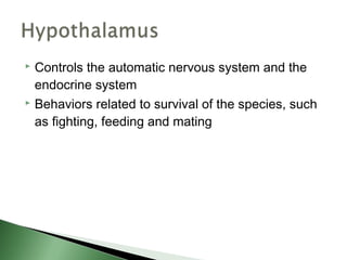  Controls the automatic nervous system and the
  endocrine system
 Behaviors related to survival of the species, such

  as fighting, feeding and mating
 