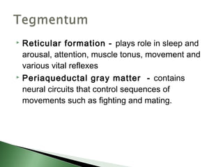  Reticular formation - plays role in sleep and
  arousal, attention, muscle tonus, movement and
  various vital reflexes
 Periaqueductal gray matter - contains

  neural circuits that control sequences of
  movements such as fighting and mating.
 