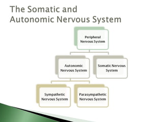 Biological basis of behavior (new)