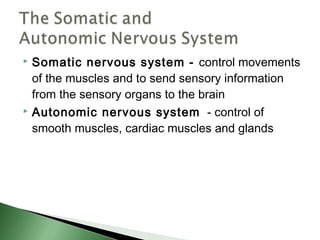 Somatic nervous system - control movements
  of the muscles and to send sensory information
  from the sensory organs to the brain
 Autonomic nervous system - control of

  smooth muscles, cardiac muscles and glands
 