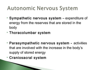  Sympathetic nervous system – expenditure of
  energy from the reserves that are stored in the
  body
 Thoracolumbar system



 Parasympathetic nervous system - activities
  that are involved with the increase in the body’s
  supply of stored energy
 Craniosacral system
 