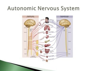 Biological basis of behavior (new)