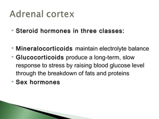    Steroid hormones in three classes:

 Mineralocorticoids maintain electrolyte balance
 Glucocorticoids produce a long-term, slow

  response to stress by raising blood glucose level
  through the breakdown of fats and proteins
 Sex hormones
 