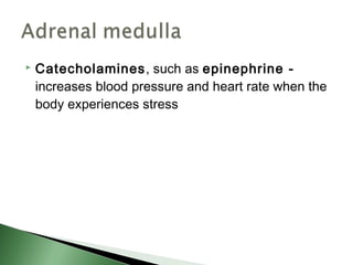    Catecholamines, such as epinephrine -
    increases blood pressure and heart rate when the
    body experiences stress
 