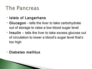  Islets of Langerhans
 Glucagon - tells the liver to take carbohydrate

  out of storage to raise a low blood sugar level
 Insulin - tells the liver to take excess glucose out

  of circulation to lower a blood’s sugar level that’s
  too high

   Diabetes mellitus
 