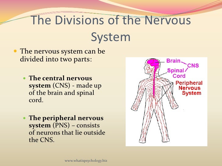 Psych 101 - Introduction to Psychology - Lecture 3