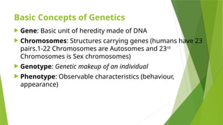Biological Basis of Behaviour: Genetics, Brain Function, and ...