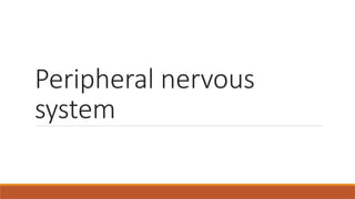 biological basis of behaviour.The Neuron—Unit of Structure and Function ...
