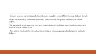 biological basis of behaviour.The Neuron—Unit of Structure and Function ...