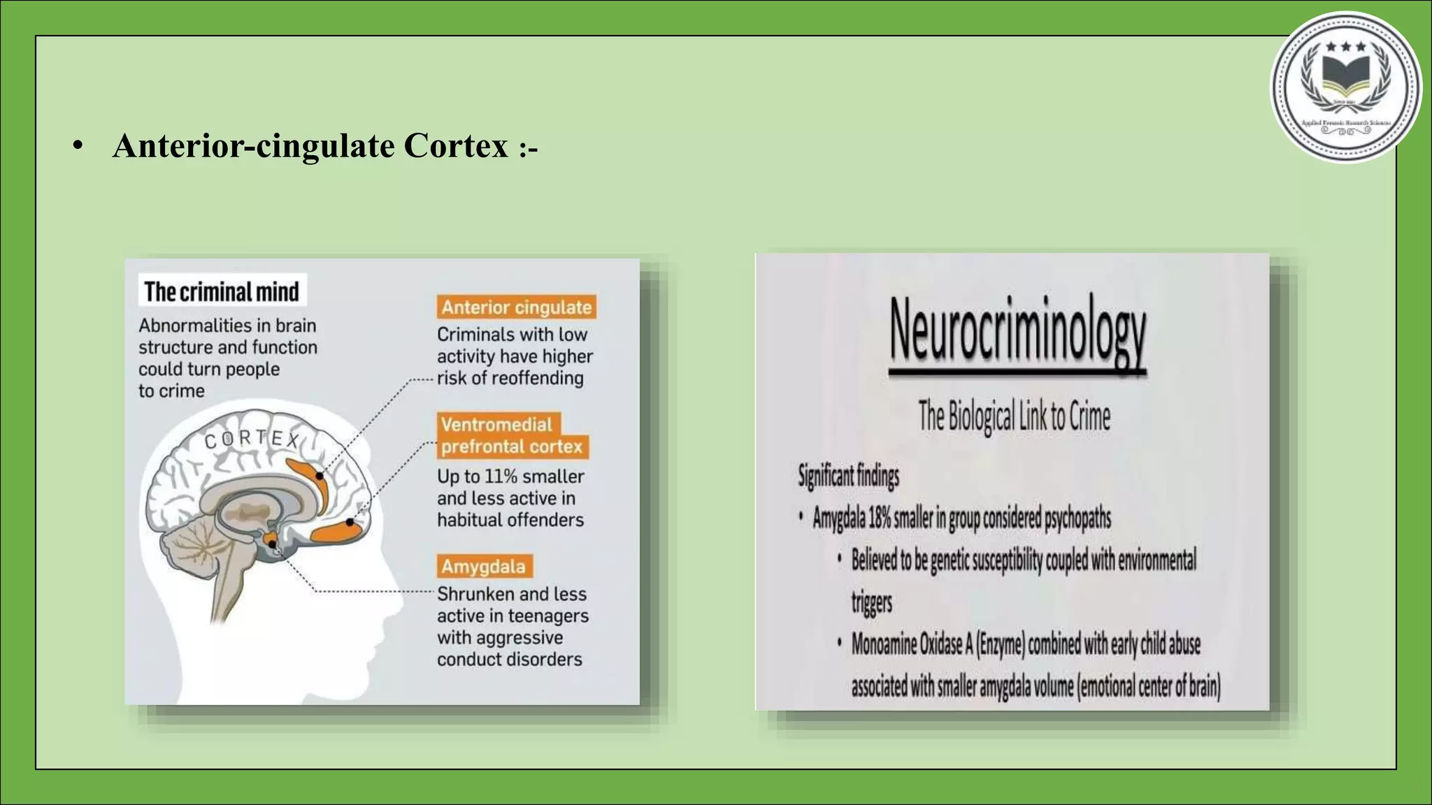 Biological basis of behaviour- Neuron Part-2 | PPTX | Brain and Nervous ...