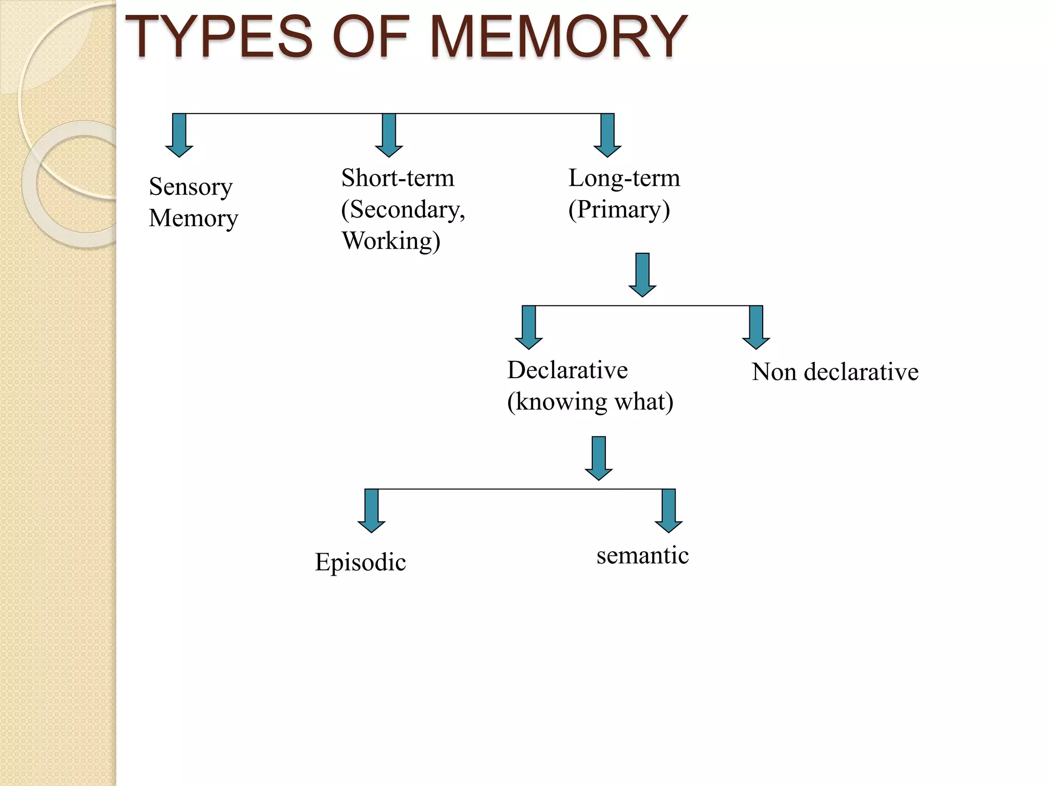 TYPES OF MEMORY
Sensory
Memory
Short-term
(Secondary,
Working)
Long-term
(Primary)
Declarative
(knowing what)
Non declarative
Episodic semantic
 