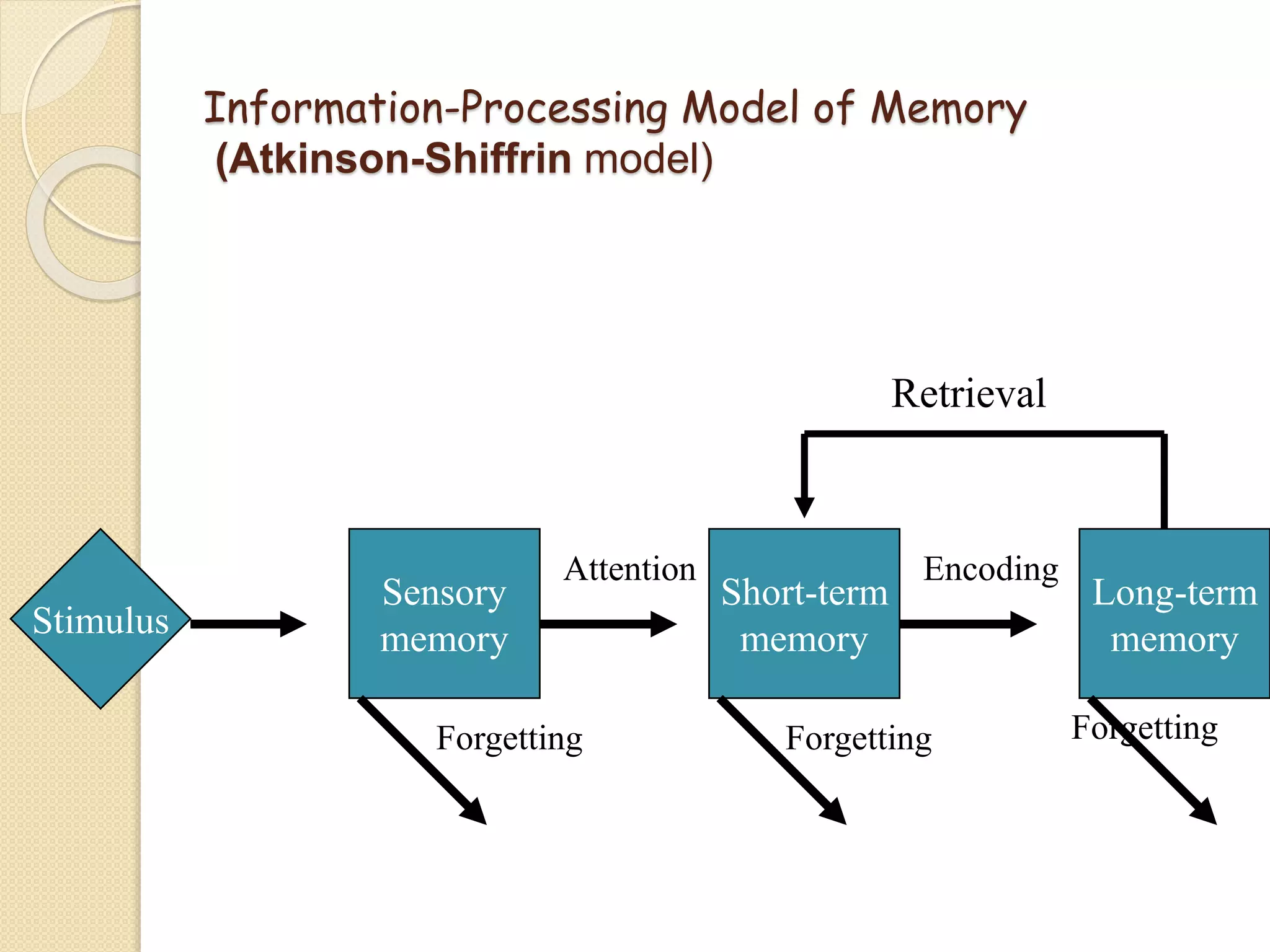 Information-Processing Model of Memory
(Atkinson-Shiffrin model)
Short-term
memoryStimulus
Sensory
memory
Long-term
memory
Attention Encoding
Retrieval
Forgetting ForgettingForgetting
 