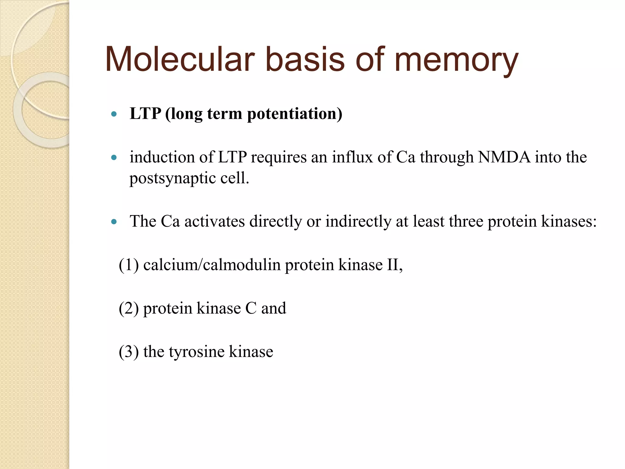Molecular basis of memory
 LTP (long term potentiation)
 induction of LTP requires an influx of Ca through NMDA into the
postsynaptic cell.
 The Ca activates directly or indirectly at least three protein kinases:
(1) calcium/calmodulin protein kinase II,
(2) protein kinase C and
(3) the tyrosine kinase
 