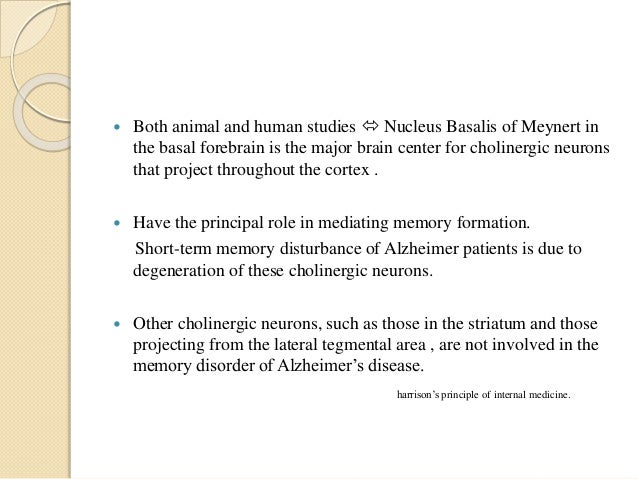 memory transient global amnesia memory transient global amnesia