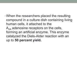 • When the researchers placed the resulting
compound in a culture dish containing living
human cells, it attached to the
A2A adenosine receptors on the cells,
forming an artificial enzyme. This enzyme
catalyzed the Diels-Alder reaction with an
up to 50 percent yield.
 