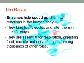 The Basics
• Enzymes help speed up chemical
reactions in the human body.
• They bind to molecules and alter them in
specific ways.
• They are essential for respiration, digesting
food, muscle and nerve function, among
thousands of other roles.
 