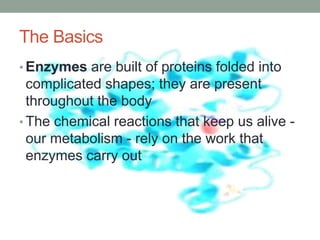 The Basics
• Enzymes are built of proteins folded into
complicated shapes; they are present
throughout the body
• The chemical reactions that keep us alive -
our metabolism - rely on the work that
enzymes carry out
 