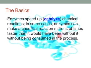 The Basics
• Enzymes speed up (catalyze) chemical
reactions; in some cases, enzymes can
make a chemical reaction millions of times
faster than it would have been without it
without being consumed in the process.
 
