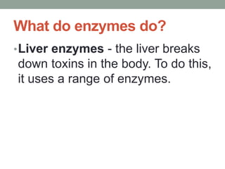 What do enzymes do?
•Liver enzymes - the liver breaks
down toxins in the body. To do this,
it uses a range of enzymes.
 