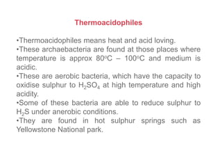 Thermoacidophiles
•Thermoacidophiles means heat and acid loving.
•These archaebacteria are found at those places where
temperature is approx 80oC – 100oC and medium is
acidic.
•These are aerobic bacteria, which have the capacity to
oxidise sulphur to H2SO4 at high temperature and high
acidity.
•Some of these bacteria are able to reduce sulphur to
H2S under anerobic conditions.
•They are found in hot sulphur springs such as
Yellowstone National park.
 