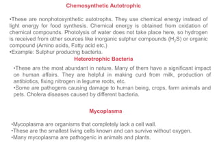 Chemosynthetic Autotrophic
•These are nonphotosynthetic autotrophs. They use chemical energy instead of
light energy for food synthesis. Chemical energy is obtained from oxidation of
chemical compounds. Photolysis of water does not take place here, so hydrogen
is received from other sources like inorganic sulphur compounds (H2S) or organic
compound (Amino acids, Fatty acid etc.)
•Example: Sulphur producing bacteria.
Heterotrophic Bacteria
•These are the most abundant in nature. Many of them have a significant impact
on human affairs. They are helpful in making curd from milk, production of
antibiotics, fixing nitrogen in legume roots, etc.
•Some are pathogens causing damage to human being, crops, farm animals and
pets. Cholera diseases caused by different bacteria.
Mycoplasma
•Mycoplasma are organisms that completely lack a cell wall.
•These are the smallest living cells known and can survive without oxygen.
•Many mycoplasma are pathogenic in animals and plants.
 
