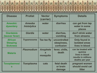 Disease Protist Vector
(carrier)
Symptoms Details
Ameobic
dysentery
Ameoba
histolytica
water diarrhea can get from tap
water in some
places
Giardaisis
(beaver fever)
Giardia water diarrhea,
vomiting
don't drink water
from streams
African
Sleeping
Sickness
Trypanosoma Tse tse fly uncontrolled
sleepiness,
confusion
Only found in
isolated areas
lives in blood
Malaria
Plasmodium Anophele
s
mosquito
fever, chills,
death
can be treated with
quinine
lives in blood
results in millions
deaths per year
Toxoplasmosi
s
Toxoplasma cats fetal death
or brain
damage
pregnant women
should avoid cat
litter
 