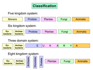 Classification
Five kingdom system:
Monera Protista FungiPlantae Animalia
Six kingdom system:
Eu-
bacteria
Protista FungiPlantae AnimaliaArchae-
bacteria
Three domain system:
Eu-
bacteria
Archae-
bacteria
E U K A R Y A
Eight kingdom system:
Eu-
bacteria
Archezoa
FungiPlantae AnimaliaArchae-
bacteria
Chromista
Protista
 