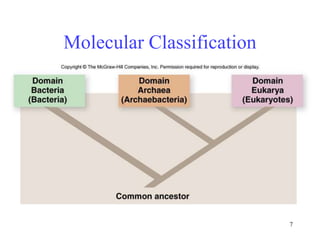 7
Molecular Classification
 