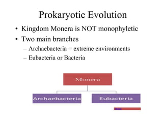 Prokaryotic Evolution
• Kingdom Monera is NOT monophyletic
• Two main branches
– Archaebacteria = extreme environments
– Eubacteria or Bacteria
 