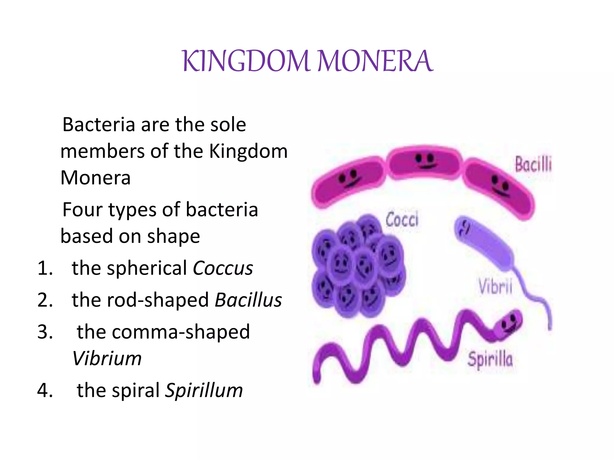 Biological classification | PPTX