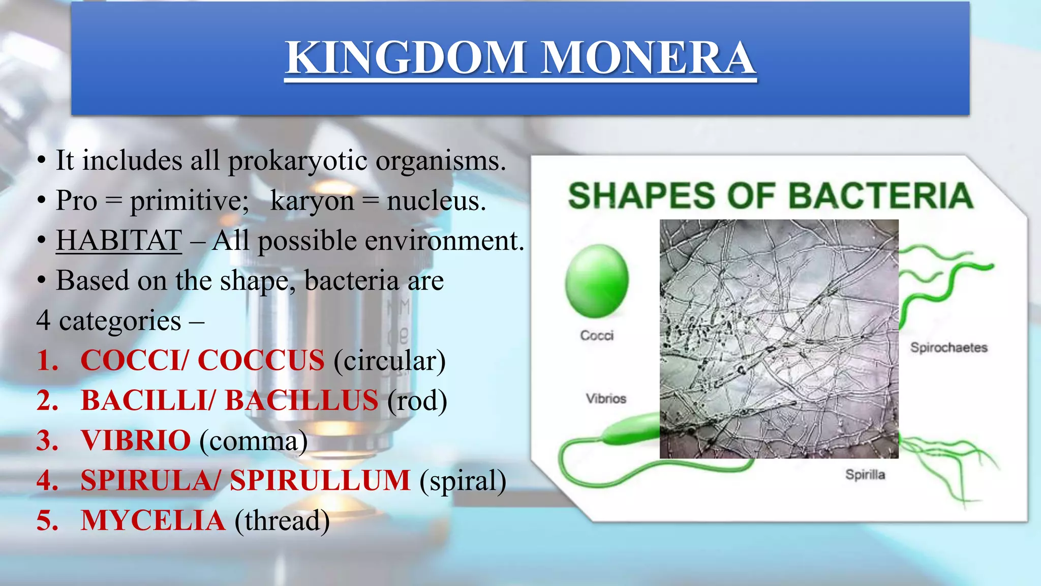 Biological classification | PPTX