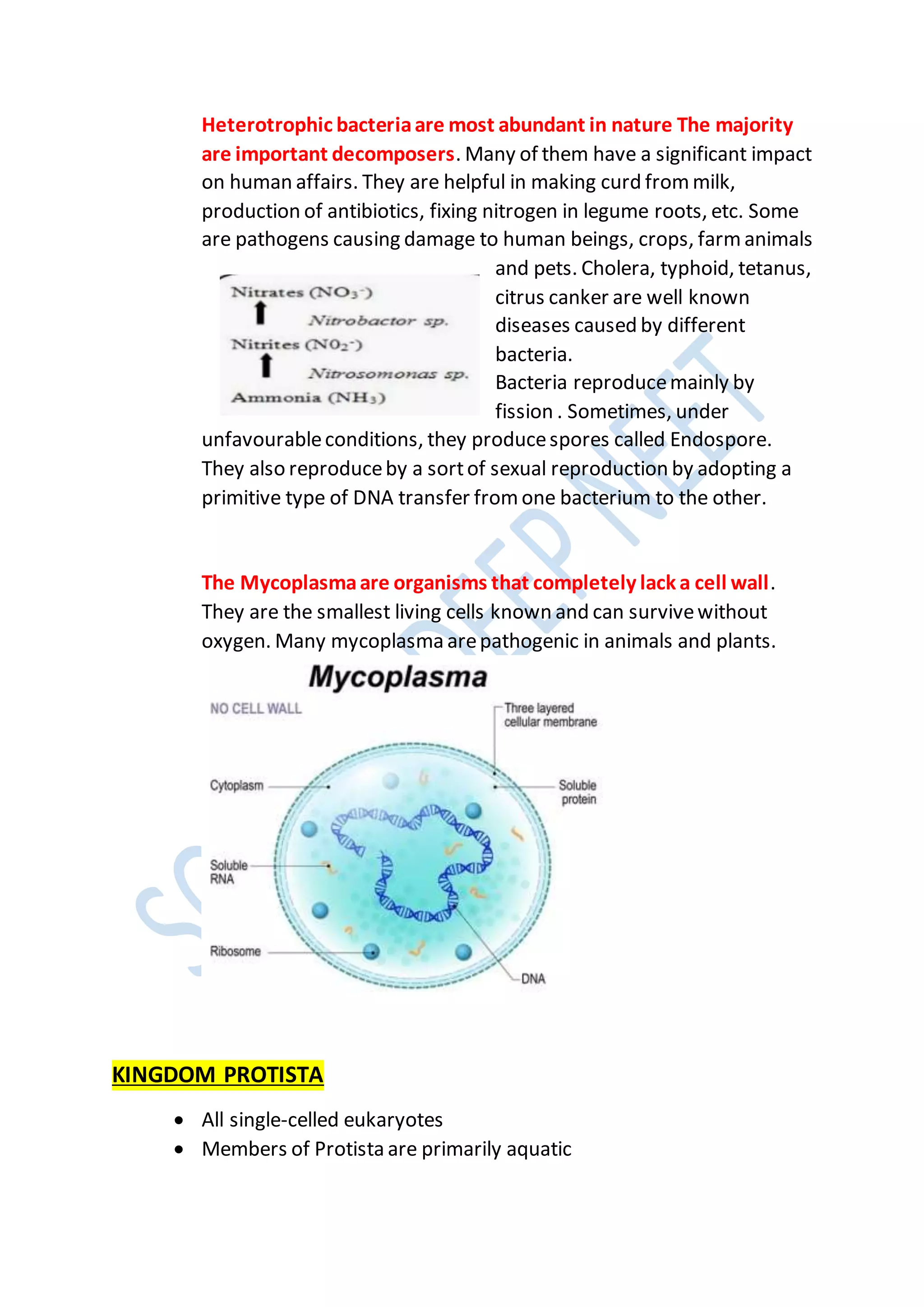 Heterotrophic bacteriaare most abundant in nature The majority
are important decomposers. Many of them have a significant impact
on human affairs. They are helpful in making curd from milk,
production of antibiotics, fixing nitrogen in legume roots, etc. Some
are pathogens causing damage to human beings, crops, farm animals
and pets. Cholera, typhoid, tetanus,
citrus canker are well known
diseases caused by different
bacteria.
Bacteria reproducemainly by
fission . Sometimes, under
unfavourableconditions, they producespores called Endospore.
They also reproduceby a sortof sexual reproduction by adopting a
primitive type of DNA transfer from one bacterium to the other.
The Mycoplasmaare organisms that completely lack a cell wall.
They are the smallest living cells known and can survivewithout
oxygen. Many mycoplasma arepathogenic in animals and plants.
KINGDOM PROTISTA
 All single-celled eukaryotes
 Members of Protista are primarily aquatic
 