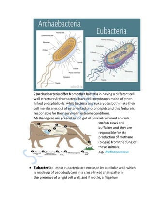 Chapter-2 Biological classification notes | PDF
