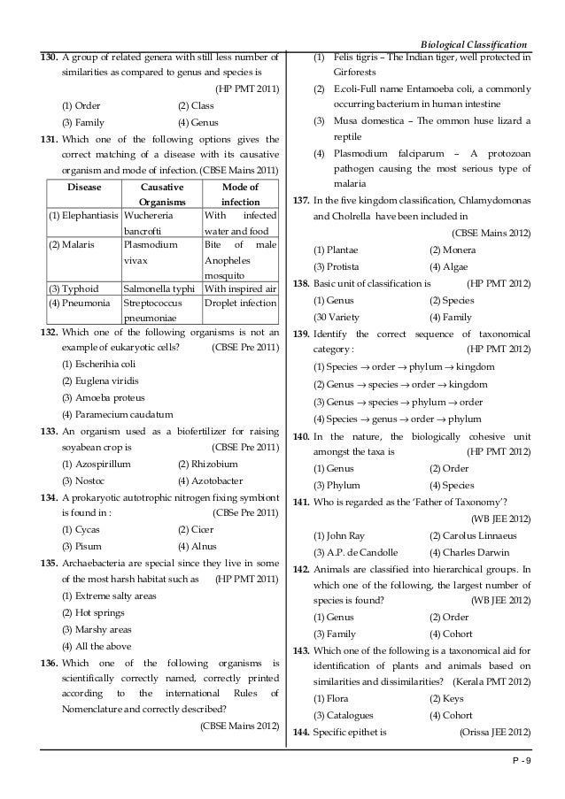 what is classification mcq