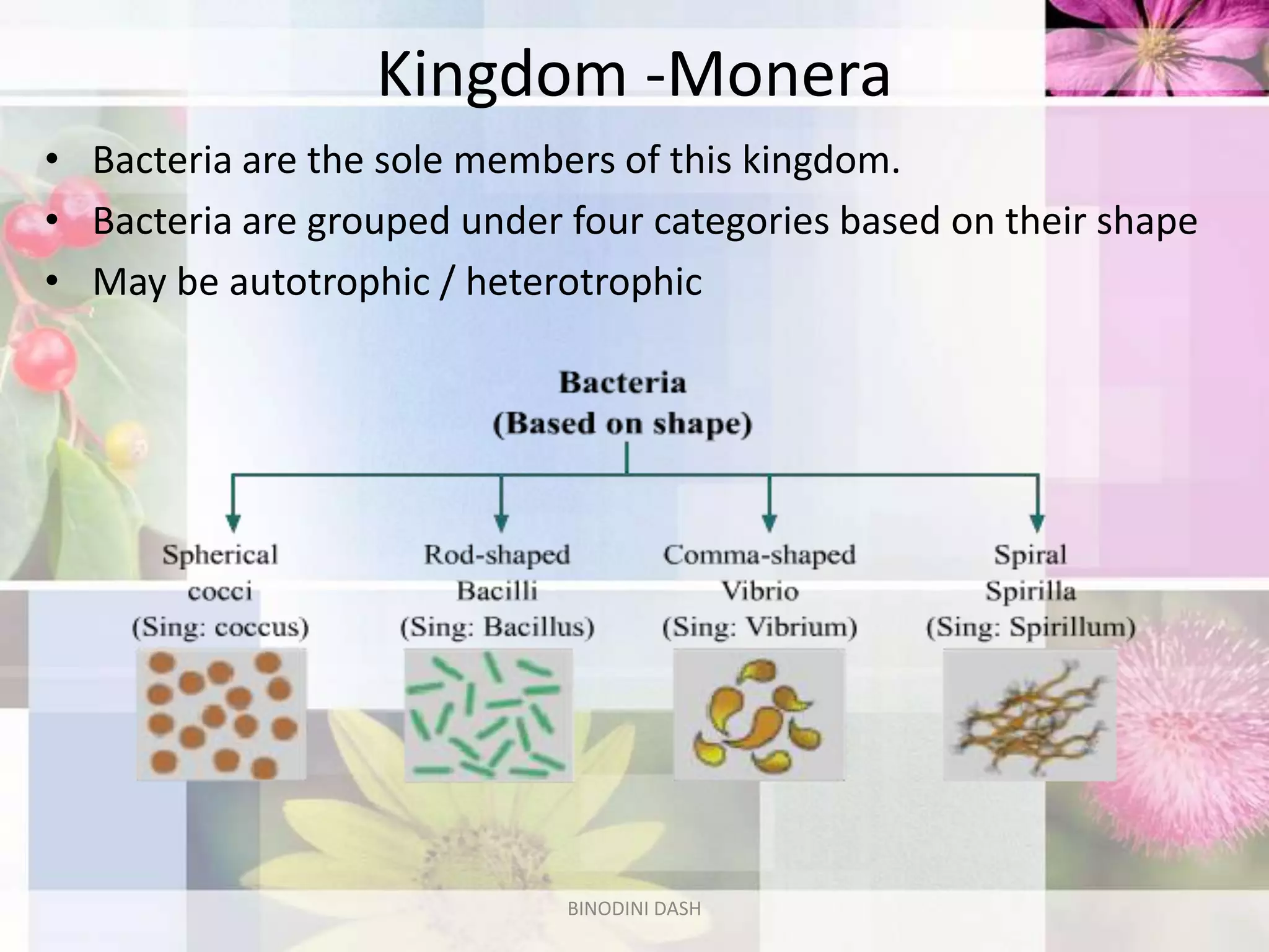 Biological Classification | PPTX