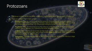 Protozoans
 The group contains all the unicellular, eukaryotic, heterotrophs, which are parasites or predators
 These are divided into 4 major groups:
1. Amoeboid- They are characterised by the presence of pseudopodia, which are used for
movement and catching of prey, e.g. Amoeba. Marine amoeboids have silica shells. Some of
the amoeboids are parasites, e.g. Entamoeba histolytica causes amoebic dysentery
2. Flagellated- They are characterised by the presence of flagella. Some of them are parasites
causing various diseases, e.g Trypanosoma causes sleeping sickness
3. Ciliated- They have thousands of cilia on their body surface. The coordinated movement of
cilia helps in steering the water having food into the gullet (body cavity, which opens outside
the body surface), e.g. Paramoecium
4. Sporozoans- They are characterised by the formation of spores, which is the infectious stage,
e.g. Plasmodium
 