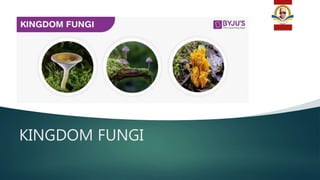 KINGDOM FUNGI
 